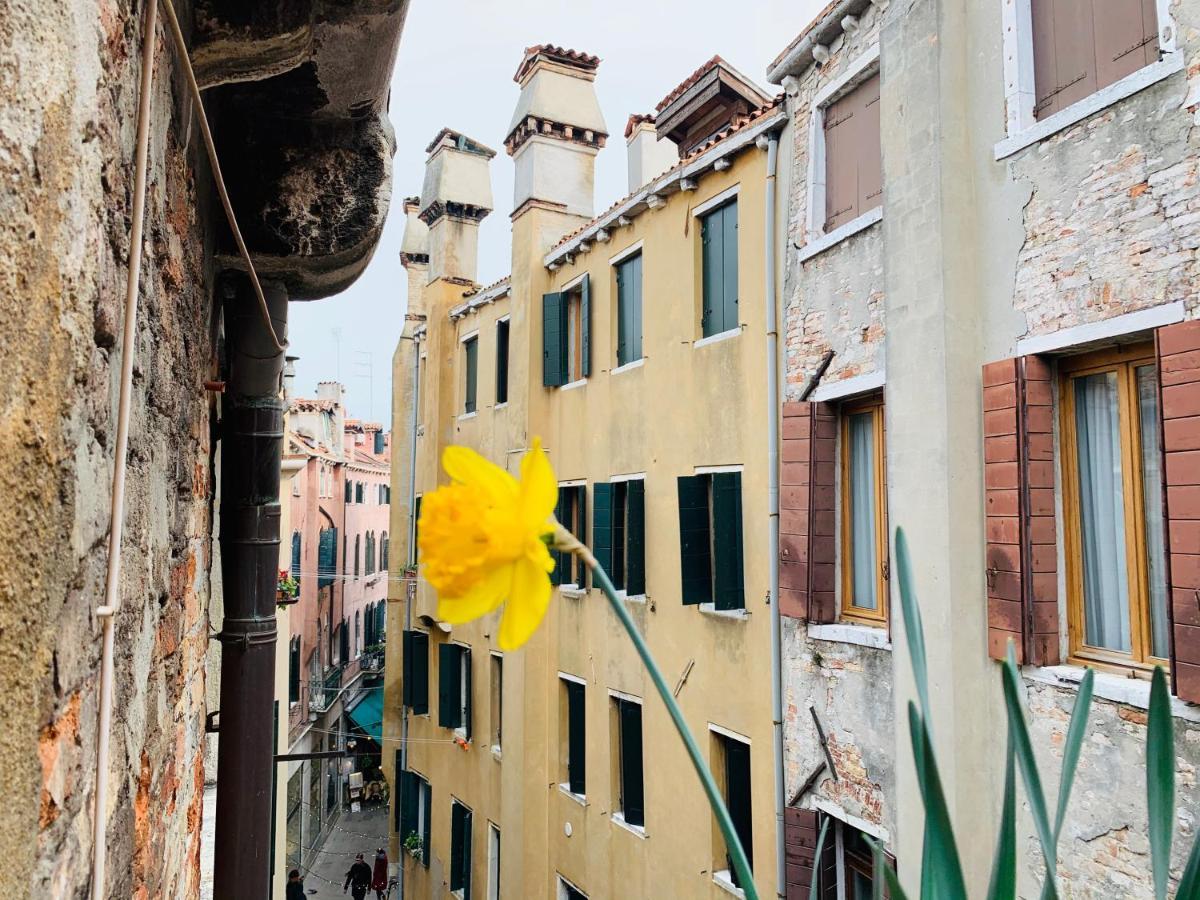 ROOFTOP TERRACE Domus dei fabbri Venezia Esterno foto