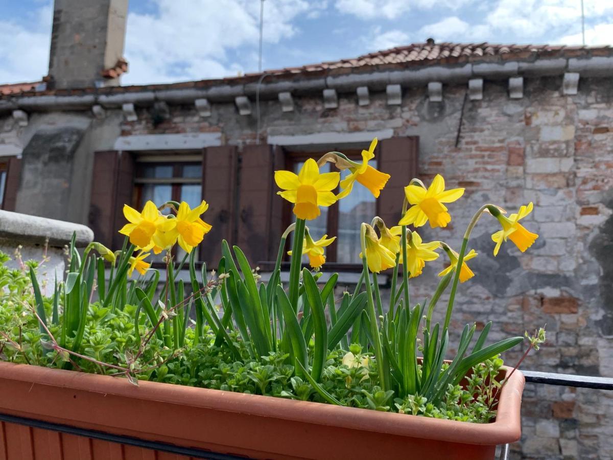 ROOFTOP TERRACE Domus dei fabbri Venezia Esterno foto